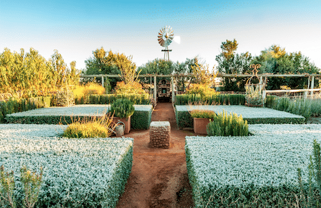 THE SEASON'S SECRET : TEN MUST VISIT GARDENS THIS WINTER
