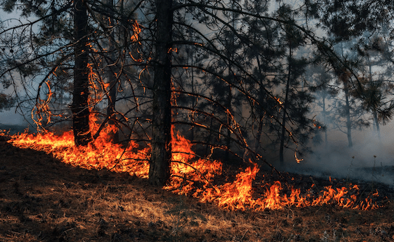 WEATHERING EXTREME WEATHER: HOW TO PREPARE FOR THE UNEXPECTED