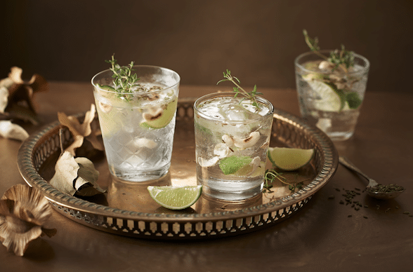 THE PERFECT SERVE: A SUMMER GIN TASTING!