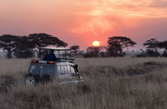 HOW TO ENJOY A HOME-GROWN EXPERIENCE WHEN TRAVELLING IN SOUTH AFRICA