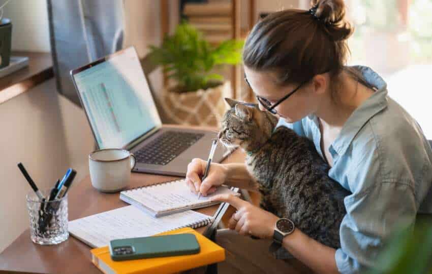 Smart savings for pet parents: Unleashing 12 budget-friendly solutions