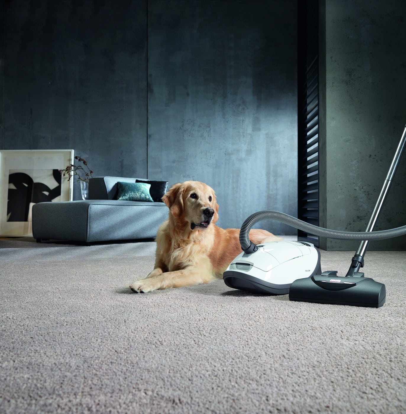 Vacuuming can help reduce allergies