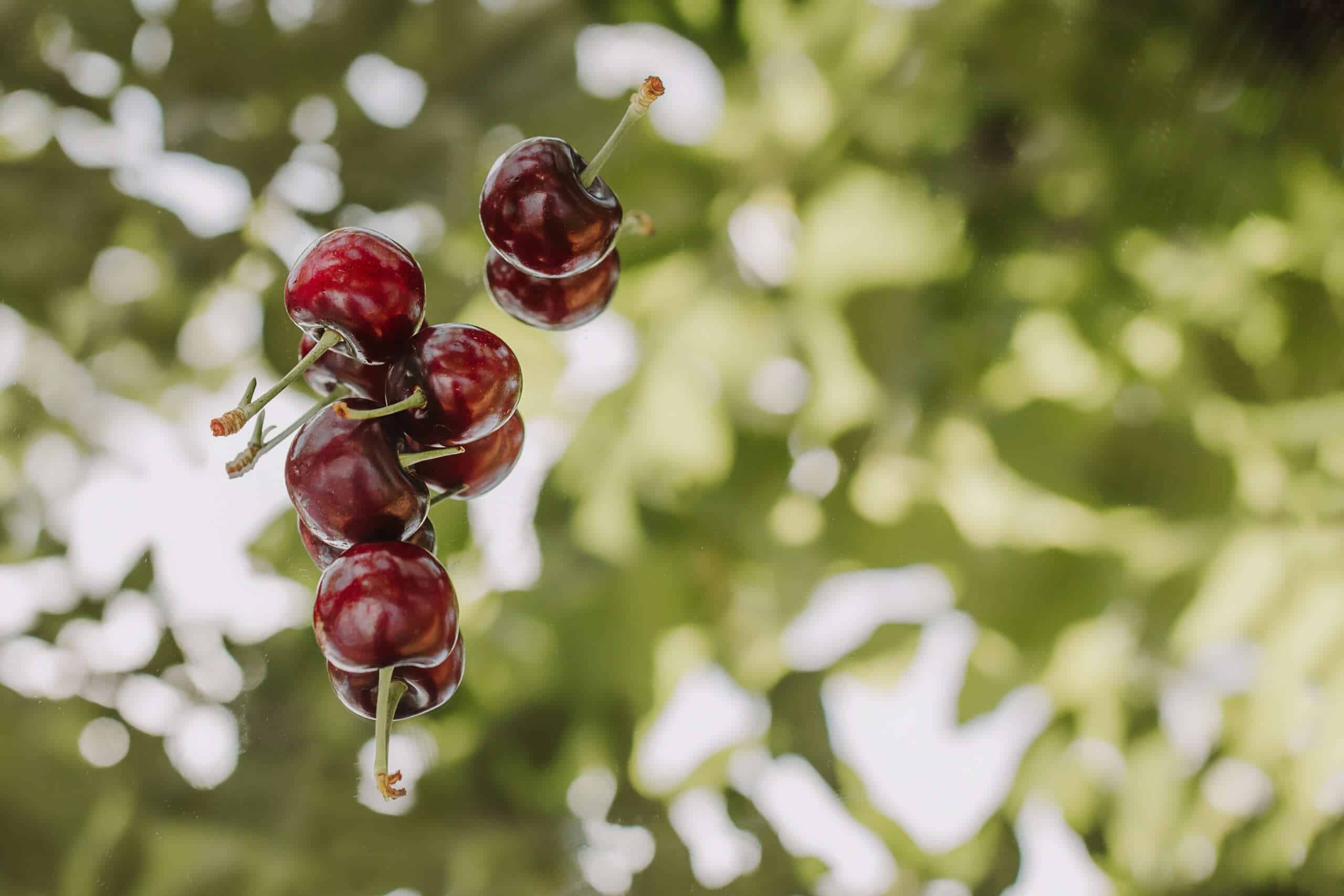 Tis The Season We Cherry-ish