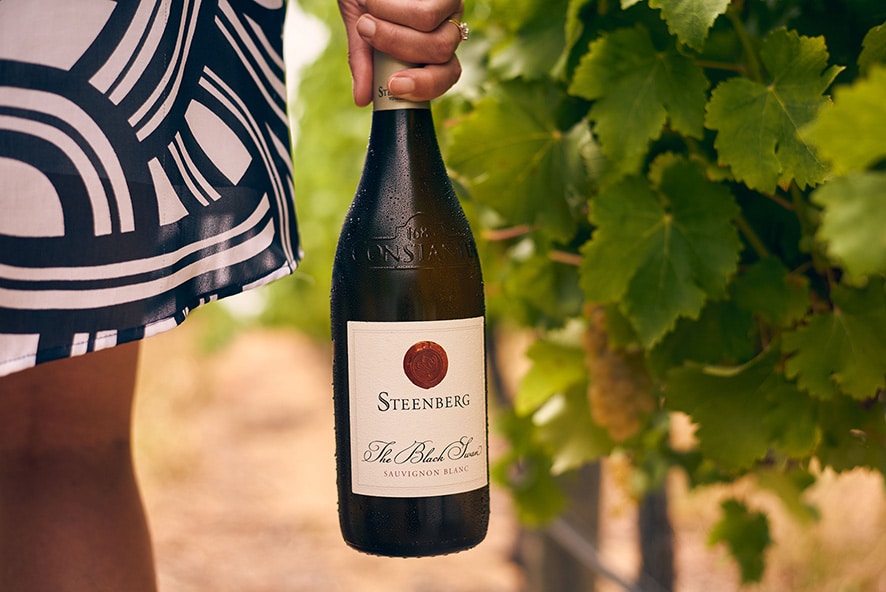 Steenberg The Black Swan included in SA Top 10 Sauvignon Blanc