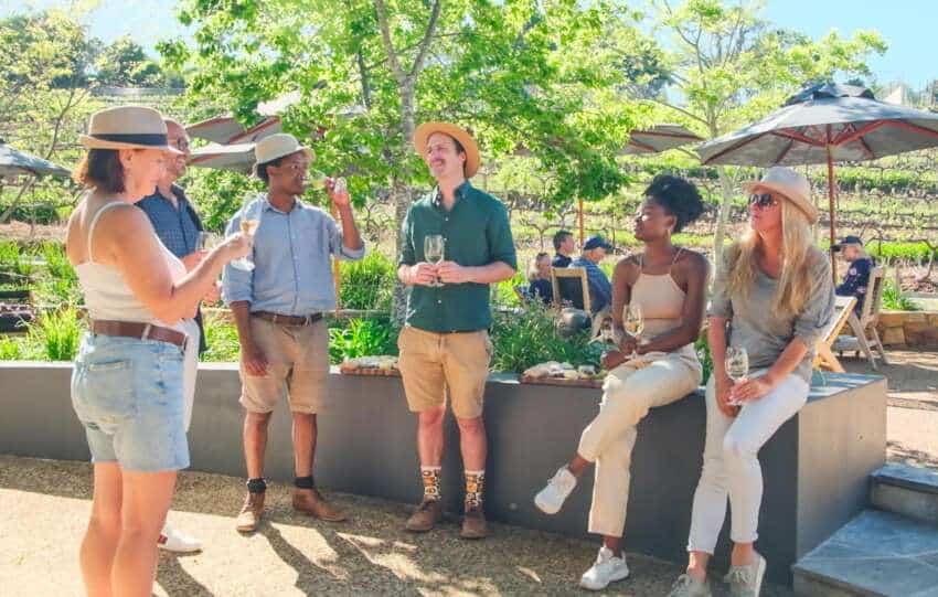 Constantia Wine Walk Uncorks New Chapter in Cape Town's Wine Tourism