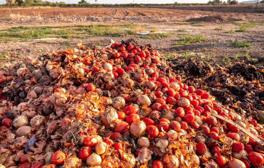 From Farm to Table: Farmers, retailers urged to partner in ending food insecurity