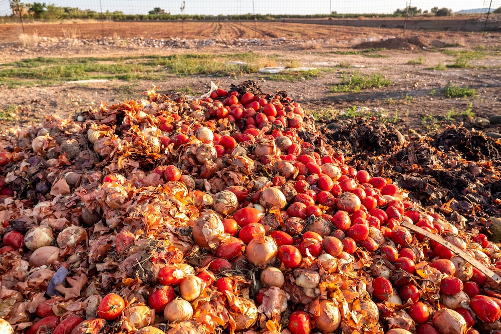 From Farm to Table: Farmers, retailers urged to partner in ending food insecurity