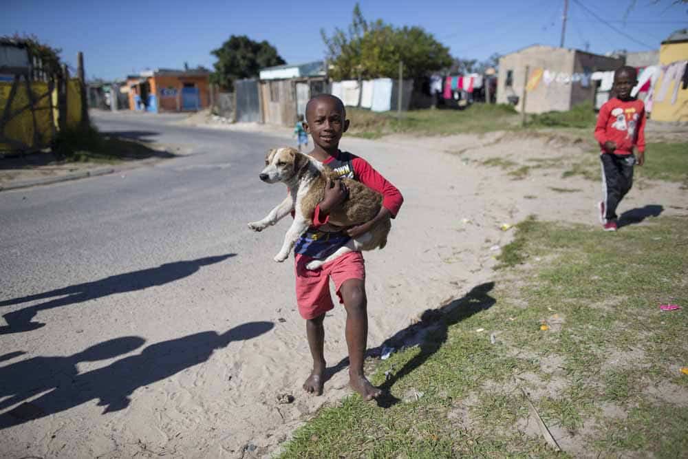 Dine for dogs - helping the homeless pets of Khayelitsha