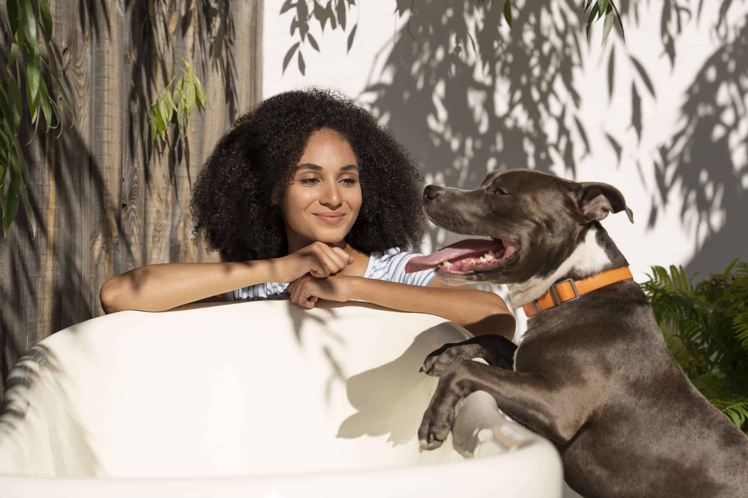 Tails wagging as South Africa's middle class increasingly adopt pet insurance
