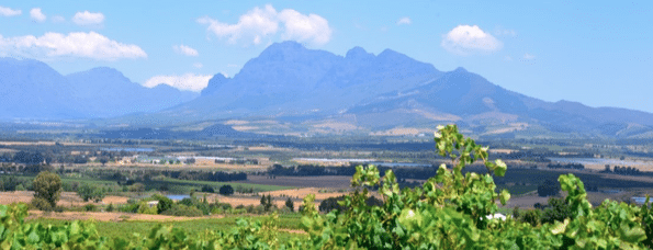 Celebrating 50 Years Of The Fairview Label And A Passion For Shiraz