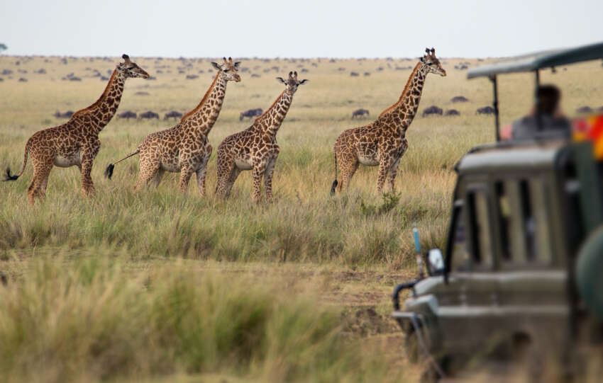 6 Awe-Inspiring Alternative African Safaris