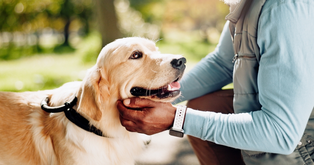 Celebrate Pet Promise Day by being the best pet parent you can be