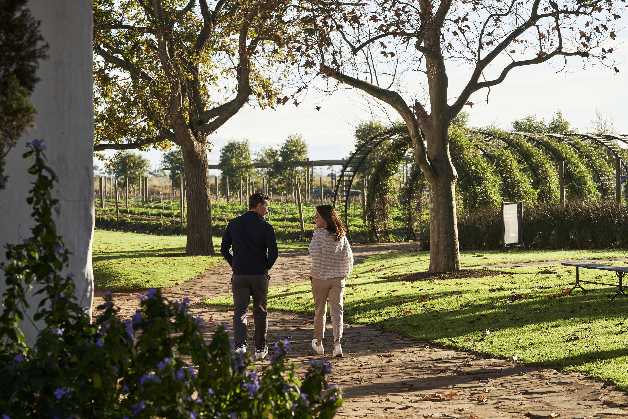 Discover rich Stellenbosch farm heritage