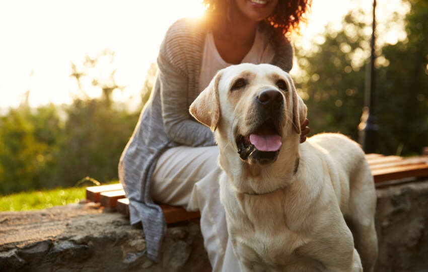 Expert-backed tips to make every day World Pet Day