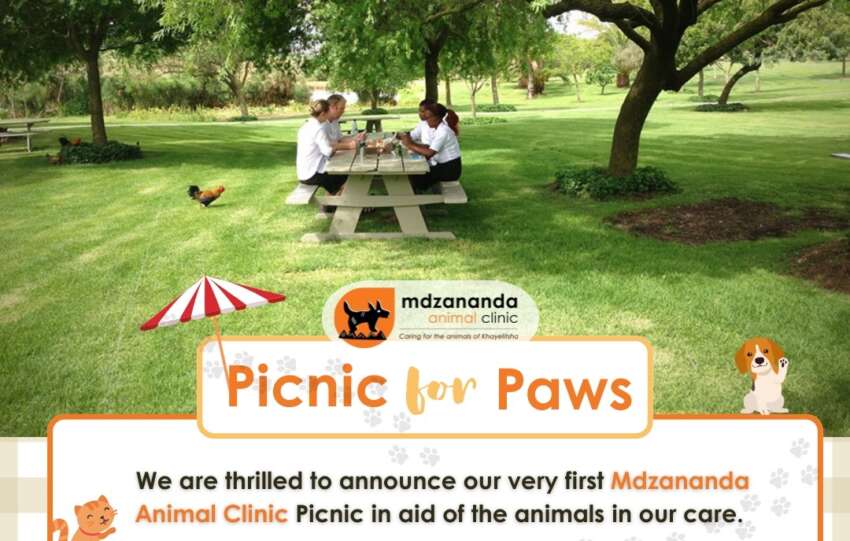 Celebrate the Season with Mdzananda Animal Clinic’s First Picnic for Paws!