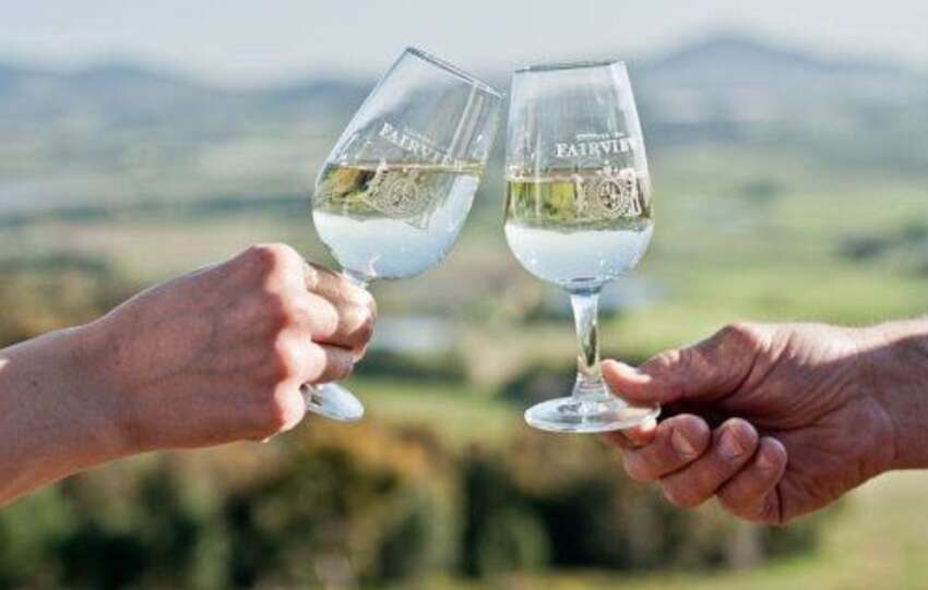 Introducing The Fairview Darling Sauvignon Blanc 2024