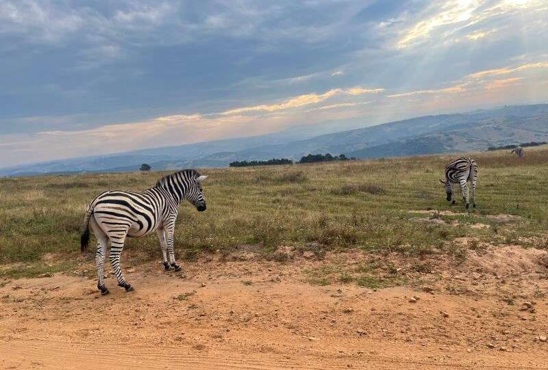 Celebrate the month of love with these epic KZN South Coast outdoor adventures