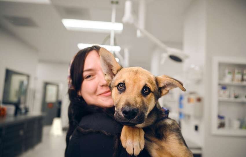 Why your dog might need more than just a scratch