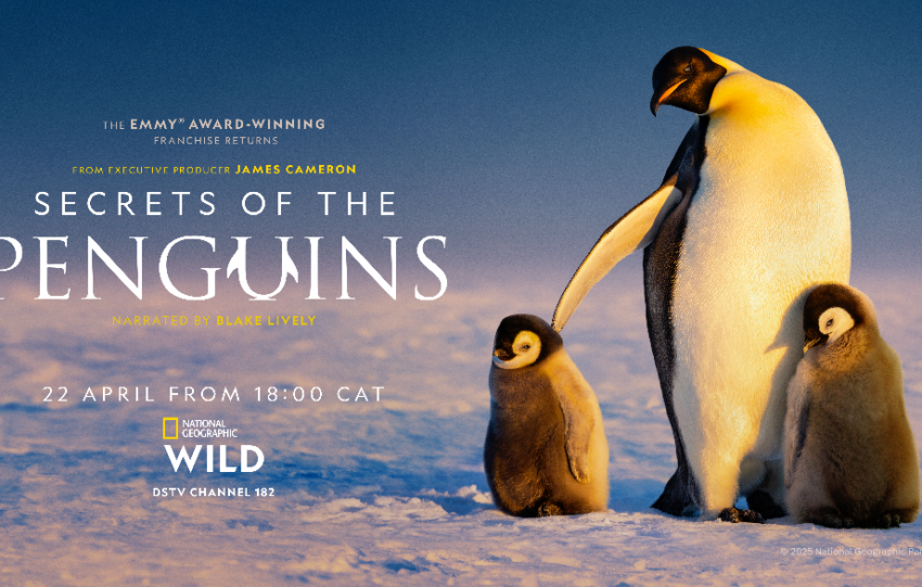 National Geographic Releases New Trailer For Secrets Of The Penguins, Revealing Breathtaking Cinematography And Never-before-seen Behavior