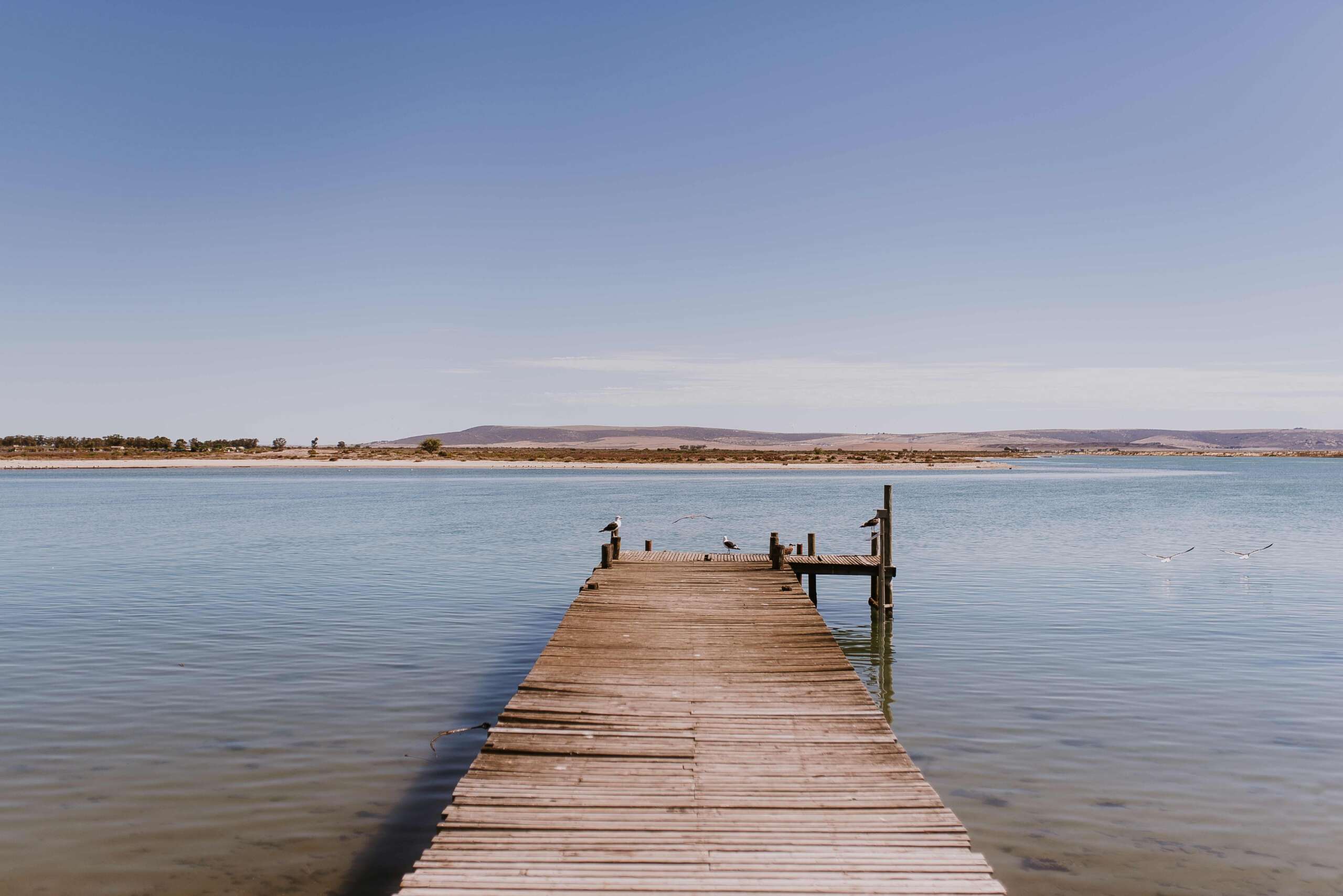 Work, Wander, and Wonder: Why Bergrivier is a Digital Nomad's Dream Destination