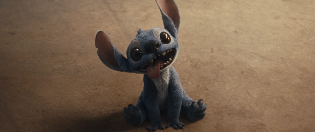 Stitch On The Loose In South Africa
