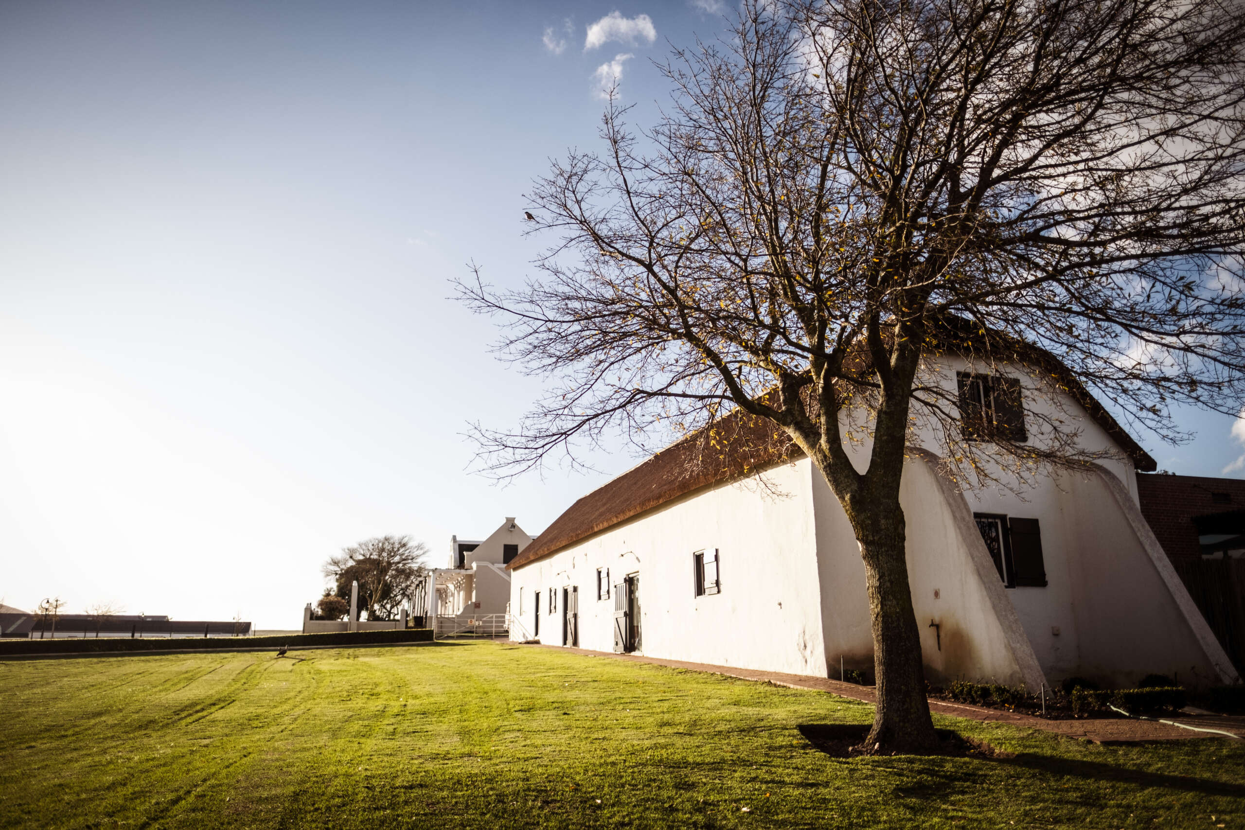Groot Phesantekraal Tells A Cool Chenin Tale