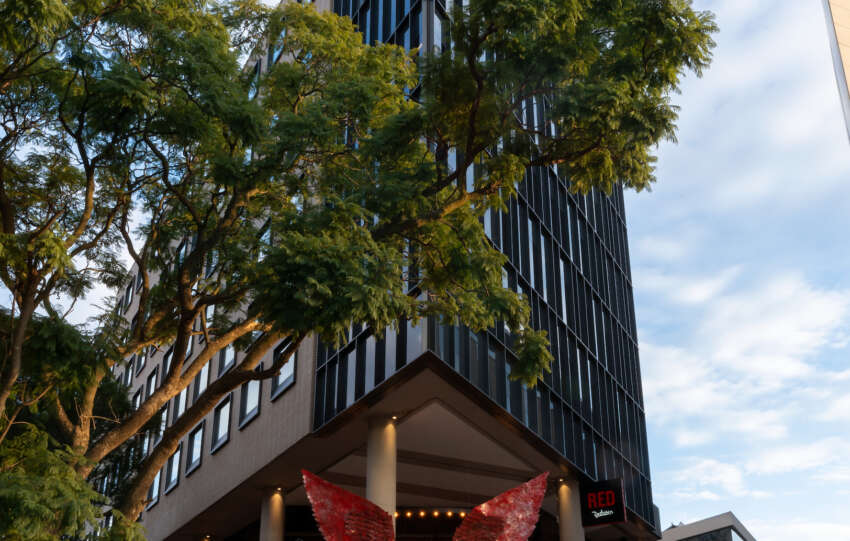 SA's positives triumph over misleading narratives – Radisson GM