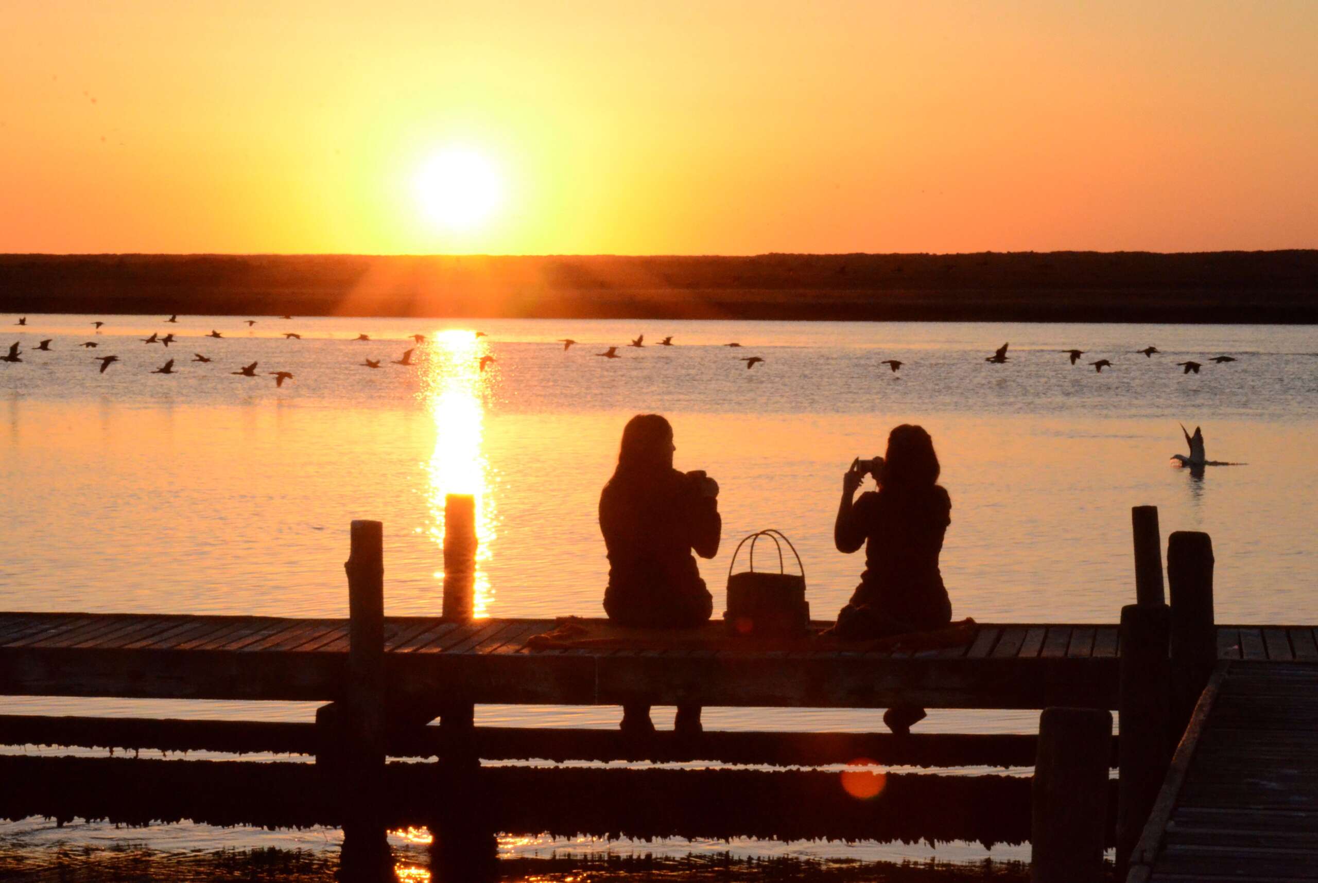 A Taste of Real West Coast Life - Slow Travel, Real Connections