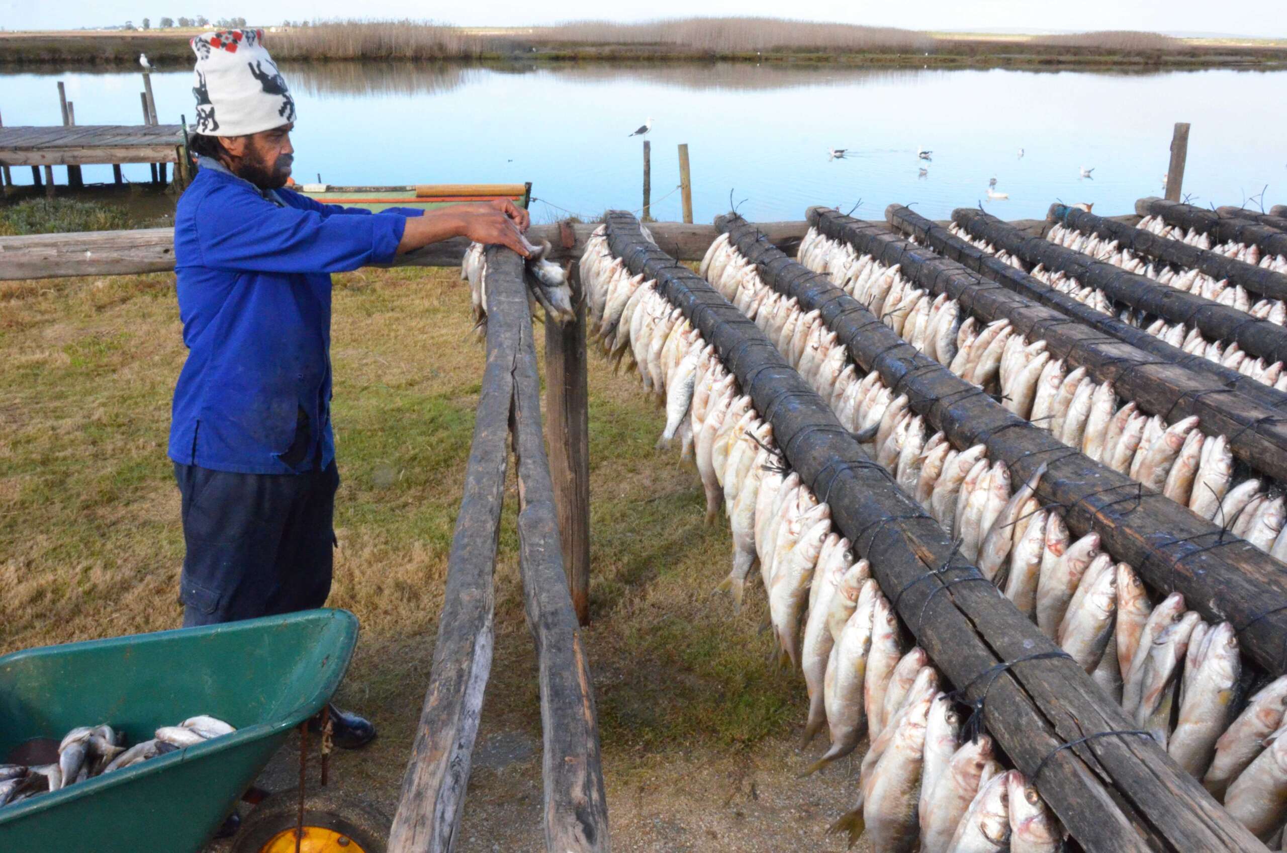 Bokkomlaan and Beyond: Discovering the Soul of Velddrif