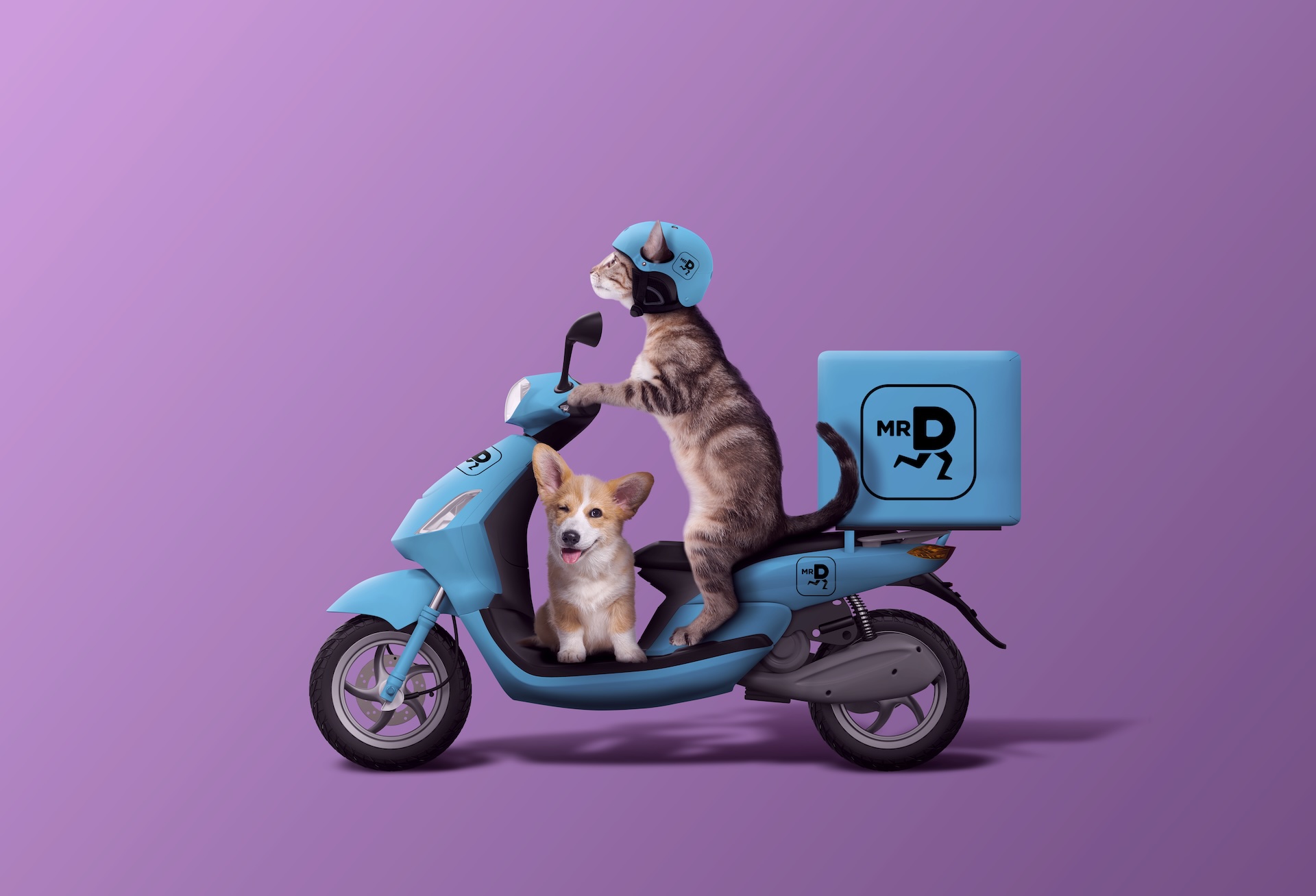 Pet Express Launches on Mr D Because Your Pets Deserve Instant Care Too