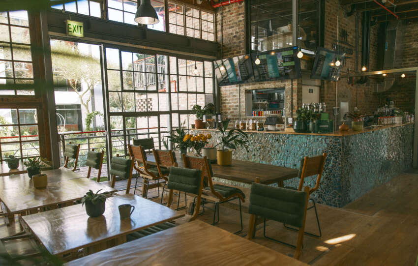 Pure Good Café opens its doors at the V&A Waterfront: a bold new chapter in sustainable dining