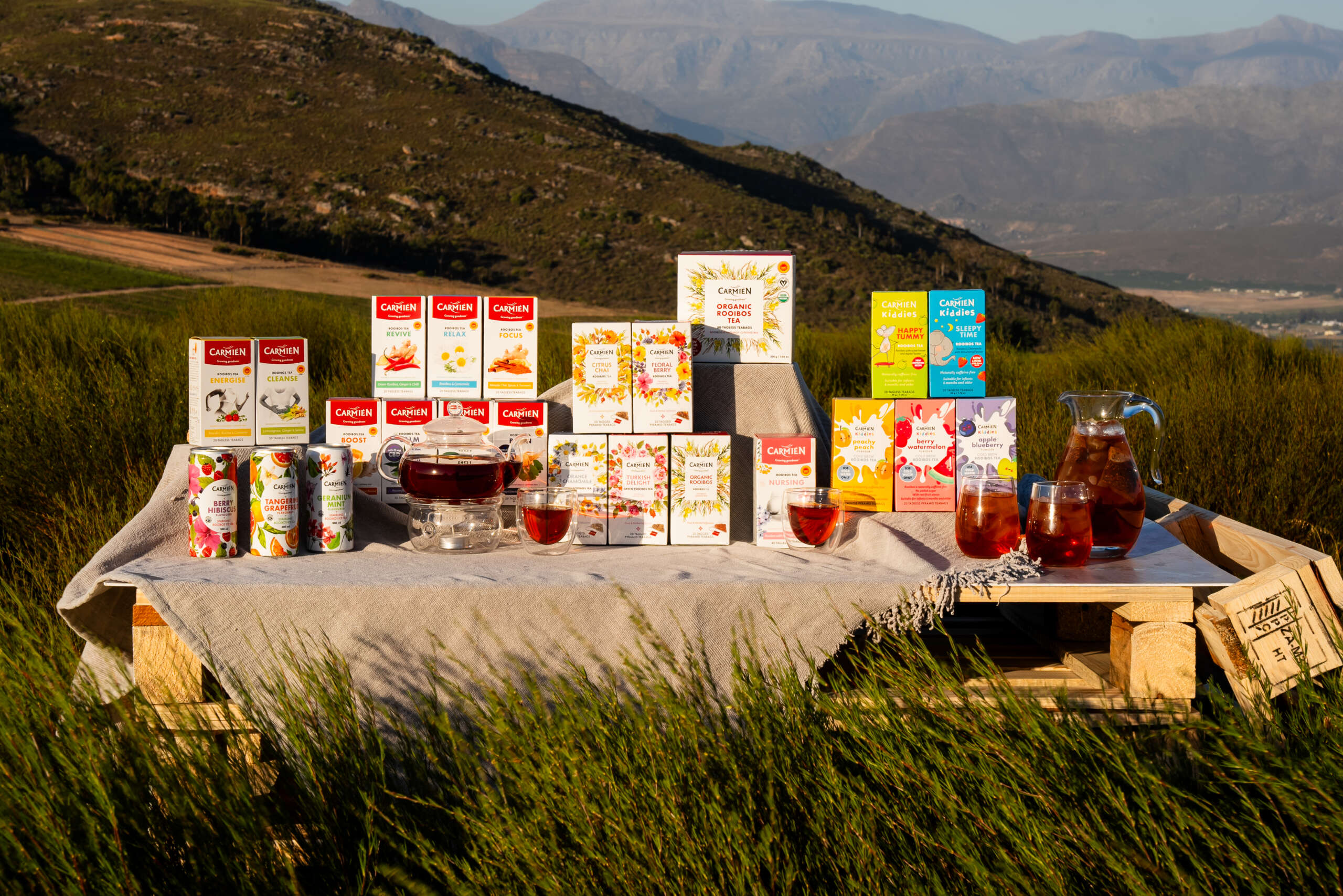 Our Heritage’s Brew: Rooibos roots, GI protection, and tea-novation