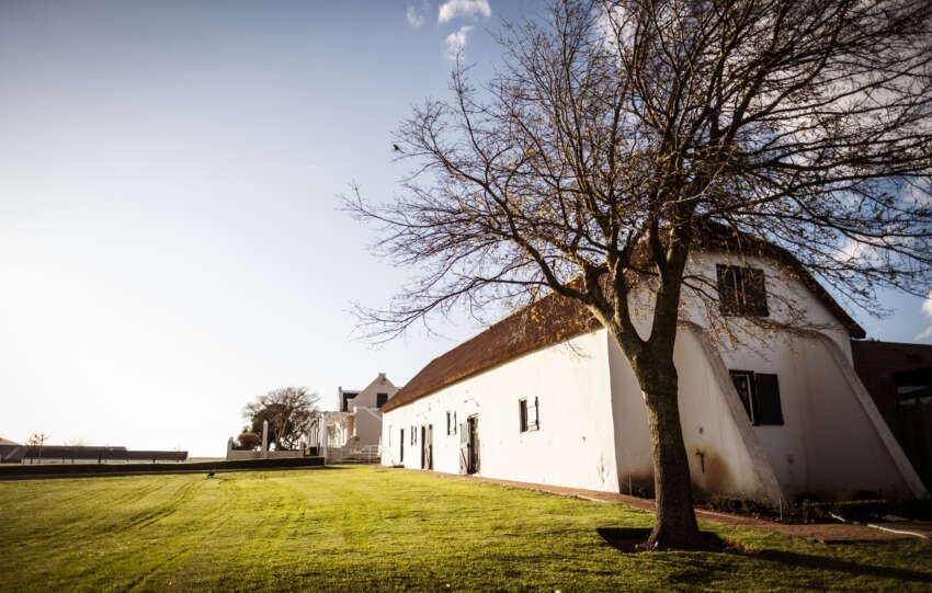 Summer Starts Now With Groot Phesantekraal's All-new Sparkling Chennin Blanc
