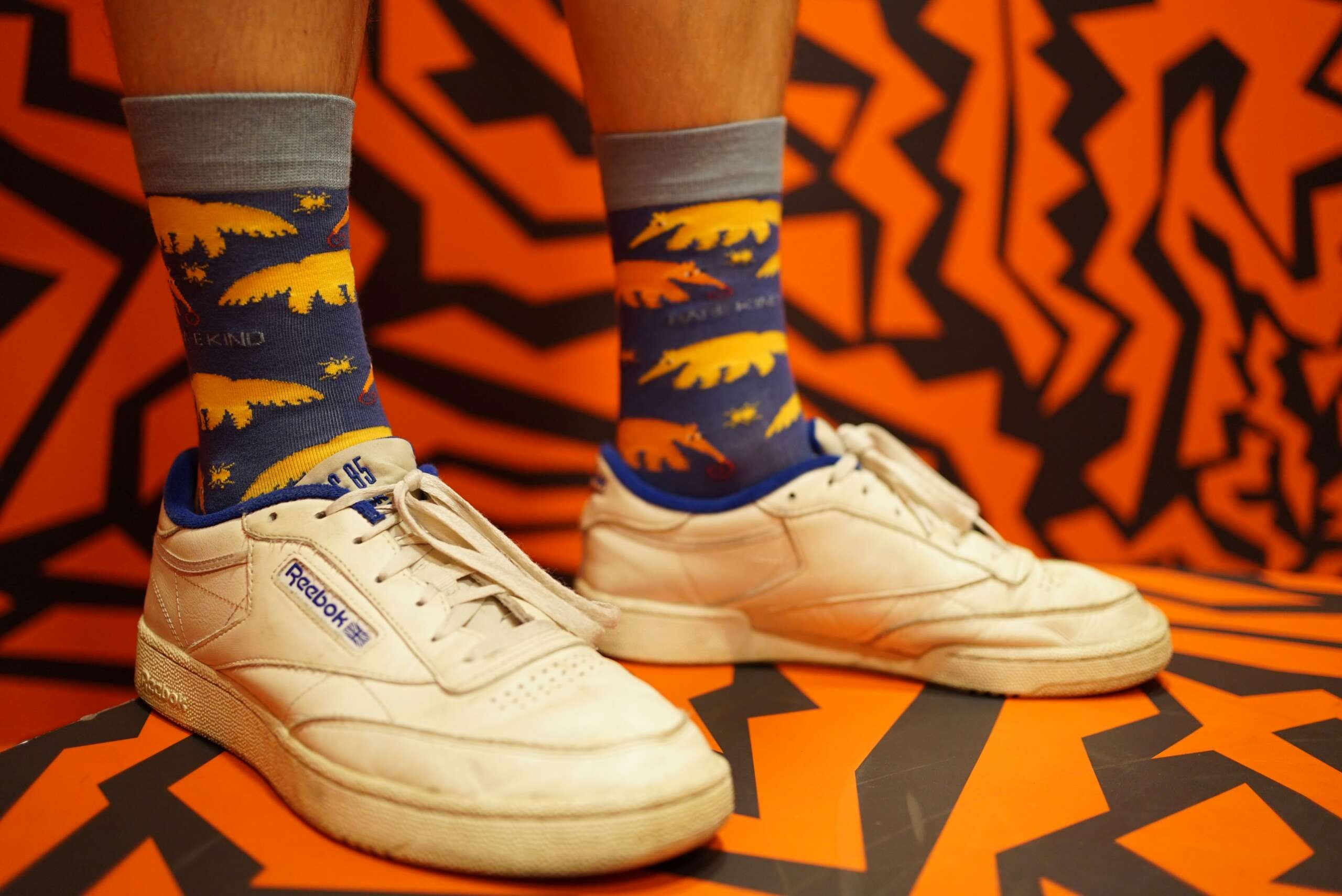 Can South Africa Step Up in Funky Socks and Raise R1 Million in Two Days?