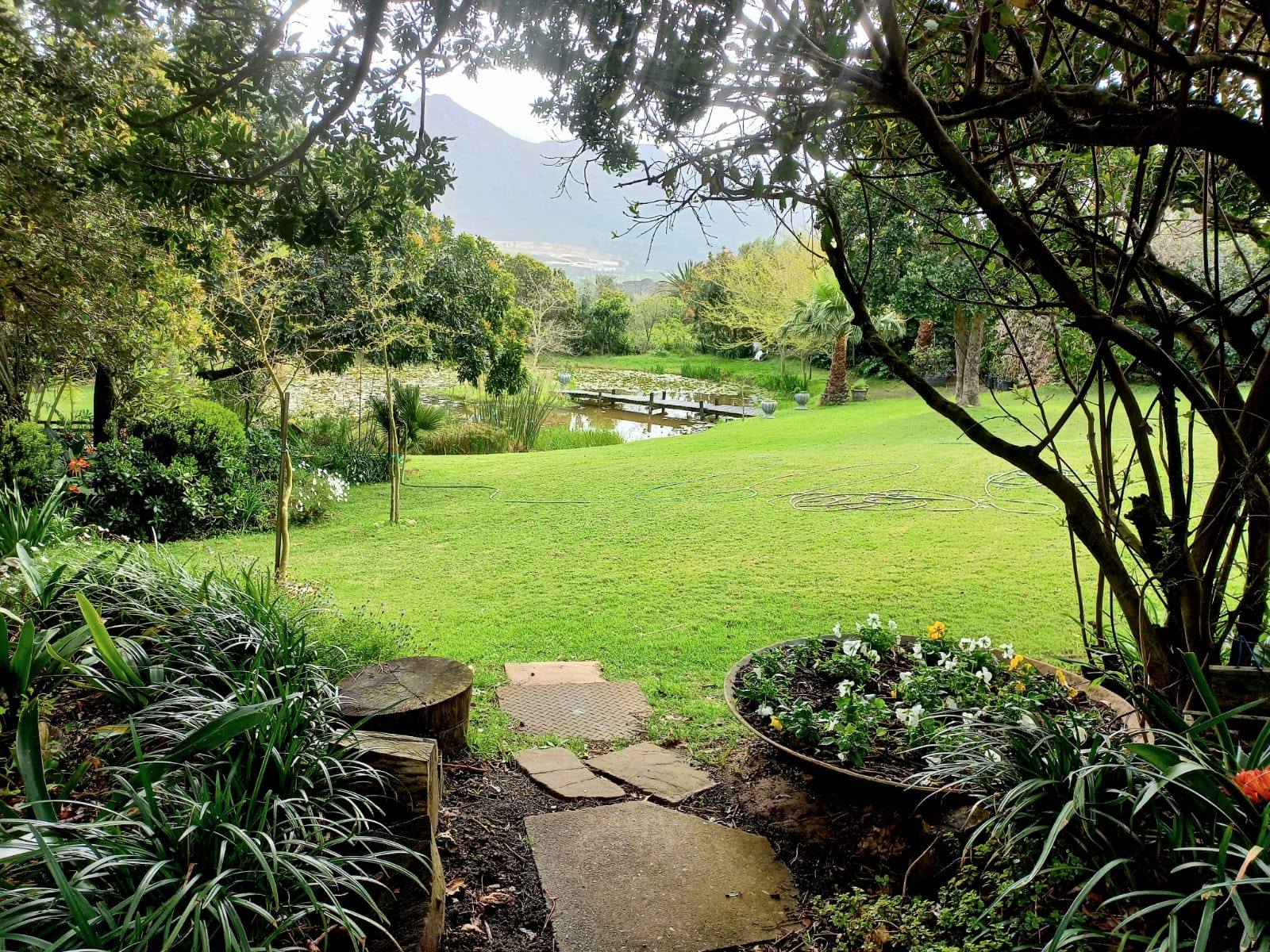 Blooming Gardens in Noordhoek
