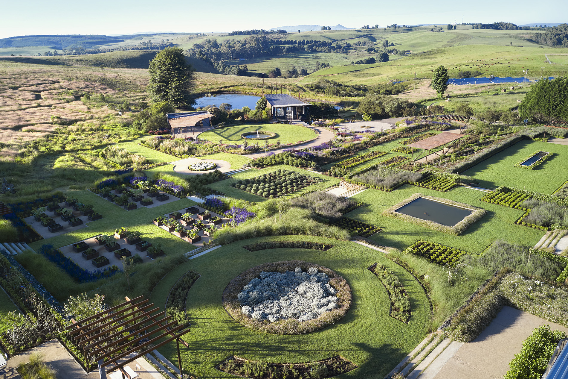 BRAHMAN HILLS WINS BEST OF PMB & MIDLANDS READERS' CHOICE AWARD 2025