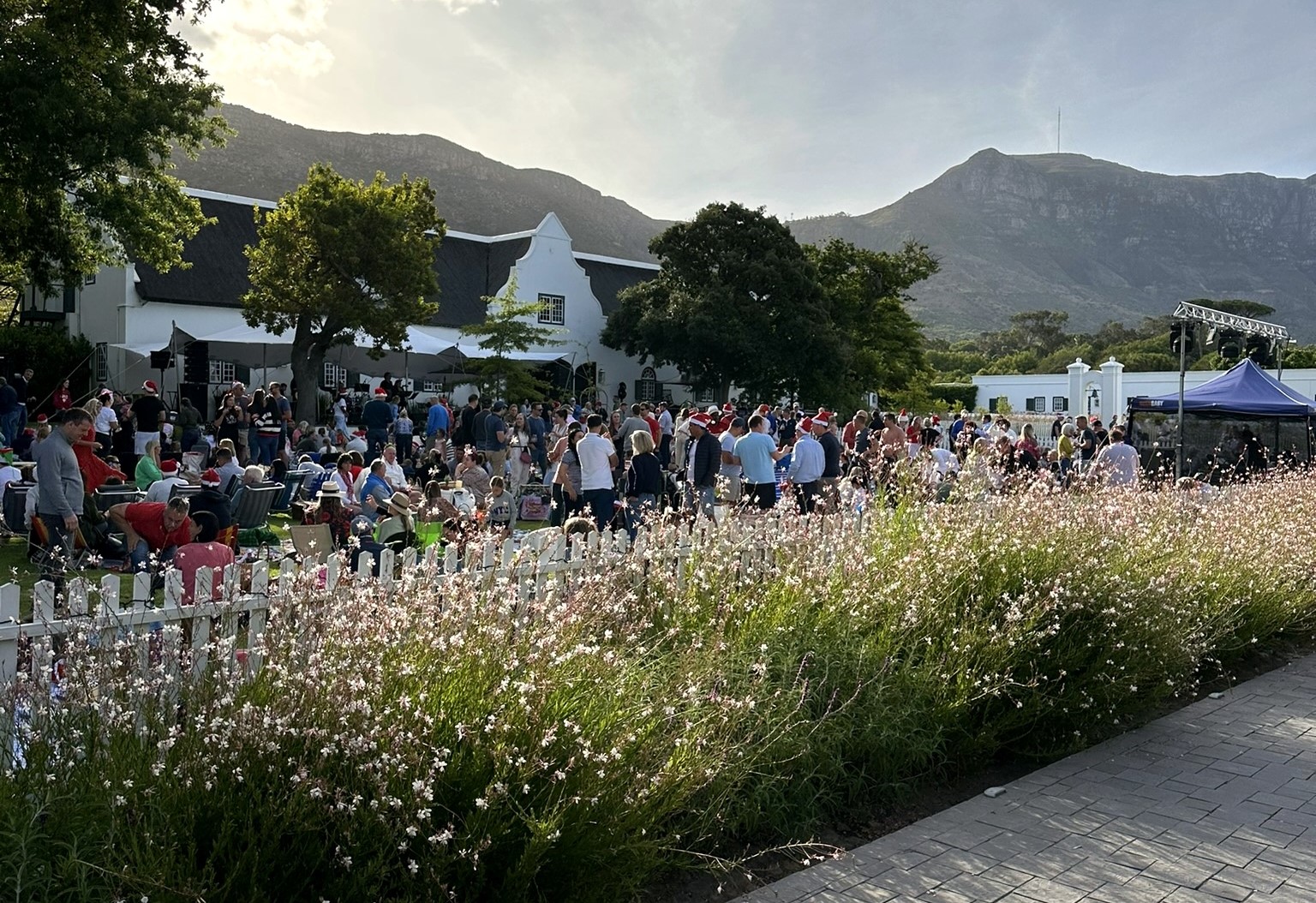 A Festive Favourite Returns: Christmas Carols at Steenberg