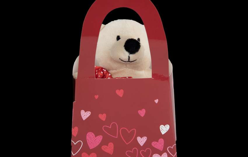CRAZY IN LOVE? MAKE IT MEANINGFUL WITH THE CRAZY STORE.