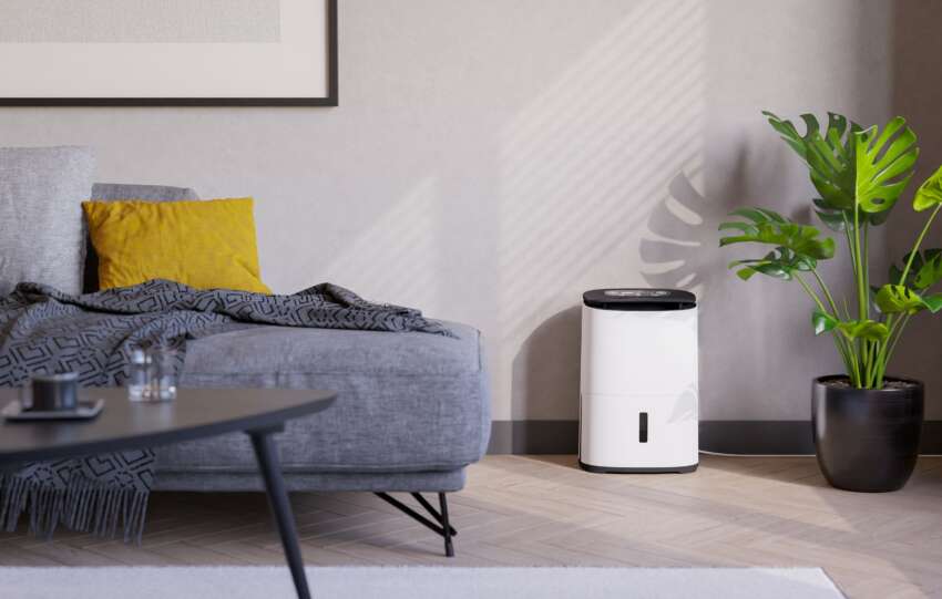 Reclaim your home this winter