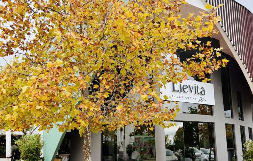 A Taste of Italy at Lievita