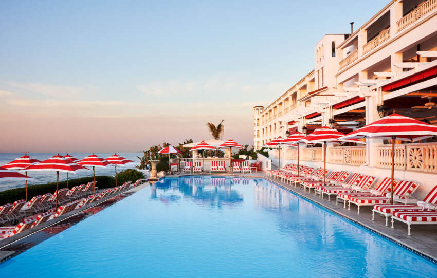Summer in Review: Inside South Africa's Biggest Season for Dining