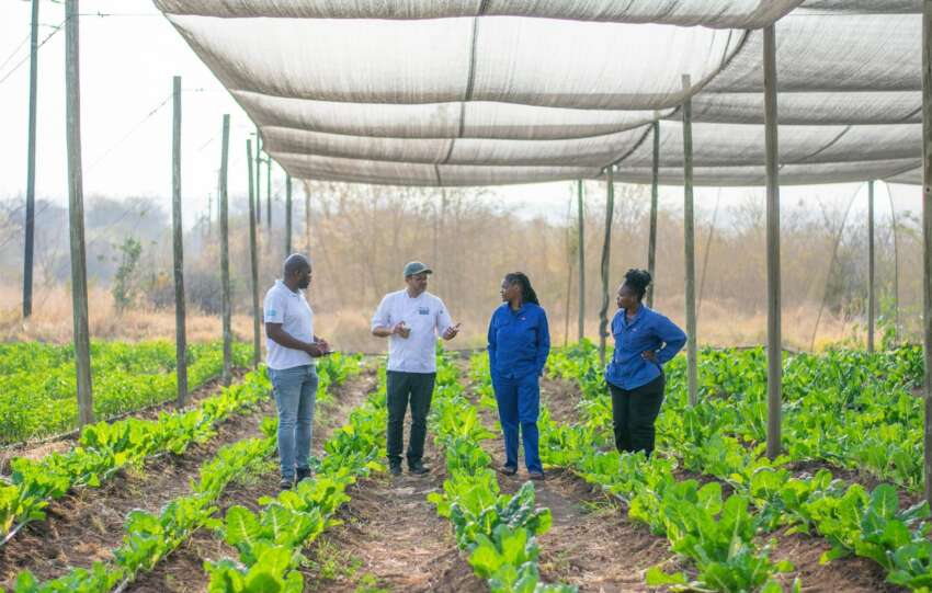From farm to safari table: How this hotel is redefining eco-tourism