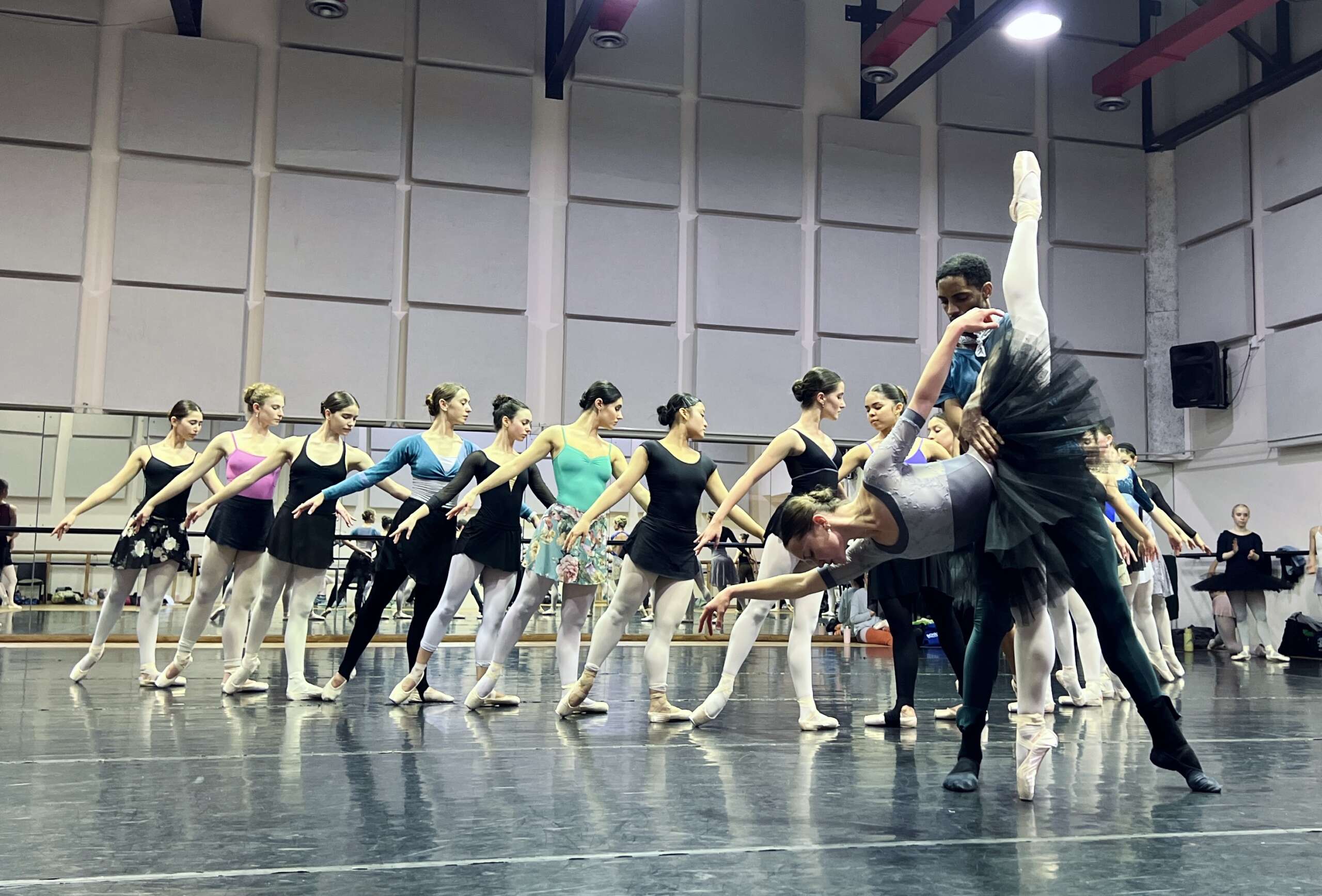 CAPE BALLET AFRICA'S SWAN LAKE AT MONTECASINO BLENDS THE BEST LOCAL AND INTERNATIONAL TALENT