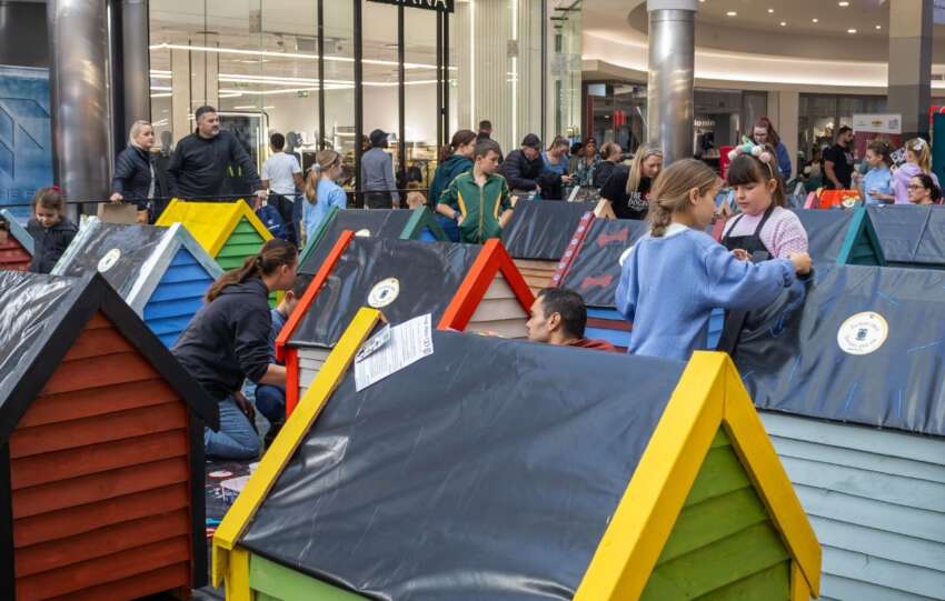 Grab a paintbrush: CapeGate's Dogbox Project needs you this Mandela Day