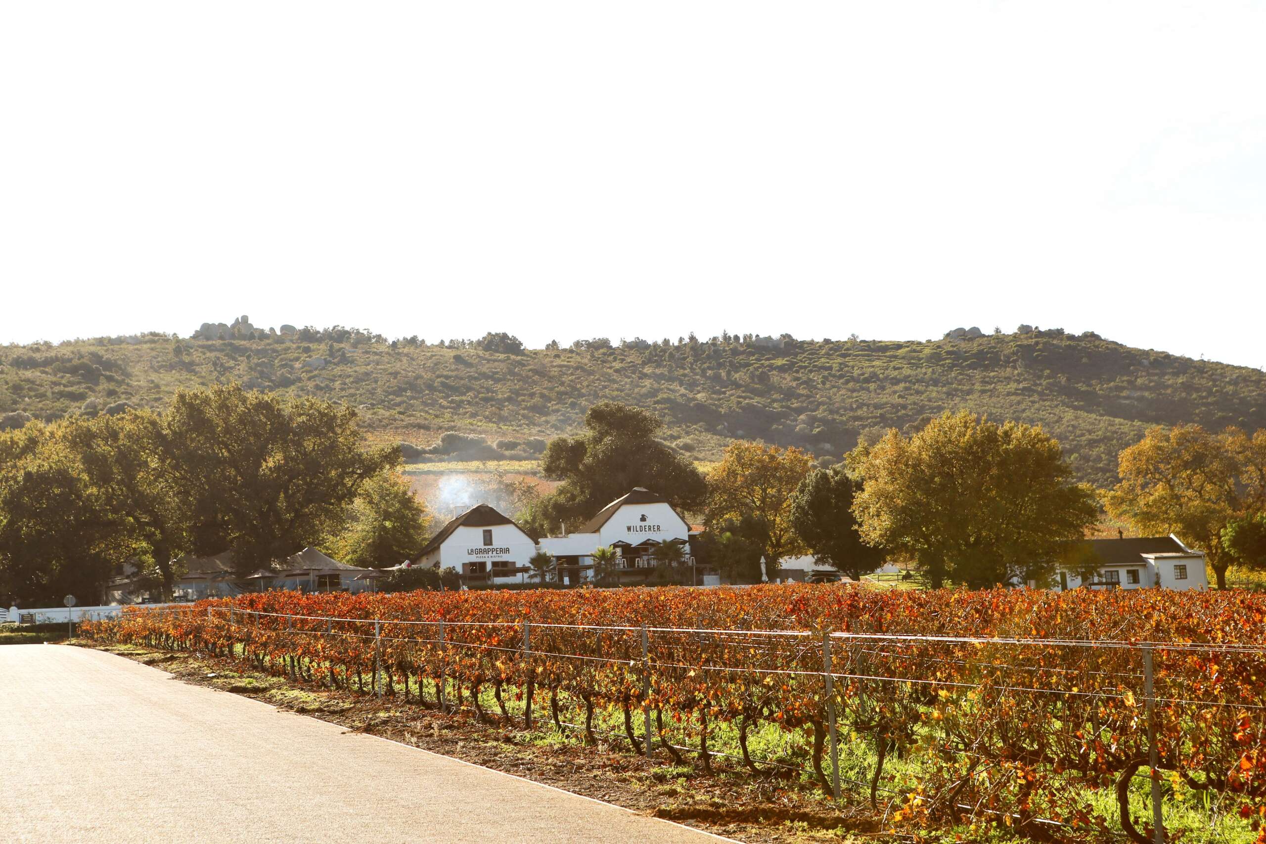 A winter win for Paarl: one destination and many reasons to leave the couch