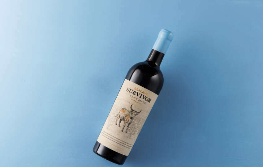 Survivor Reserve Chenin Blanc Wins Decanter Gold For Second Consecutive Year