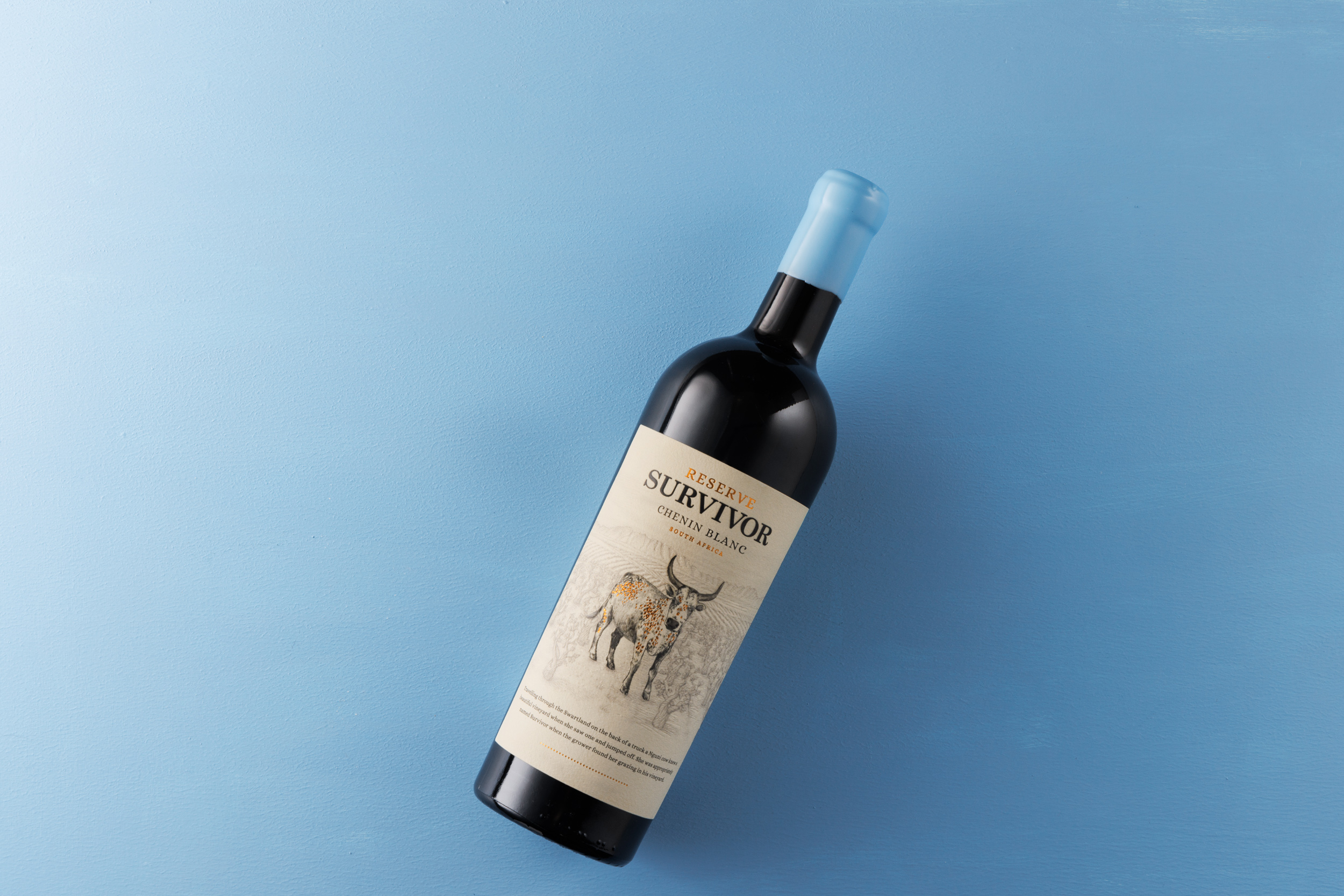 Survivor Reserve Chenin Blanc Wins Decanter Gold For Second Consecutive Year