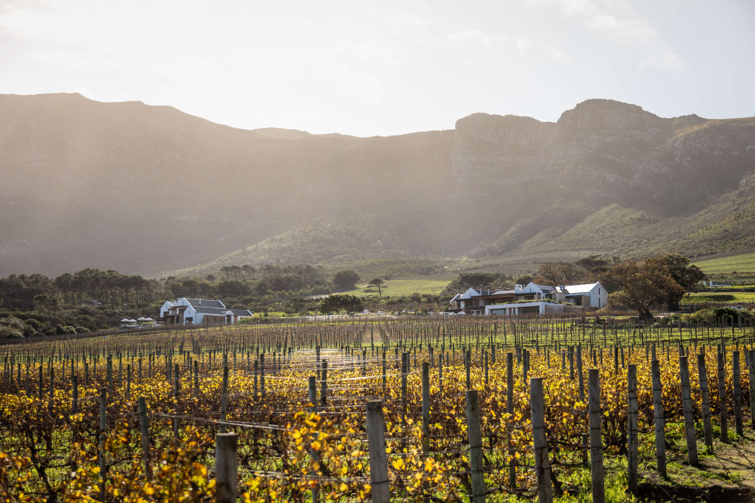 Redefining exclusivity: Introducing The Alexander Estate