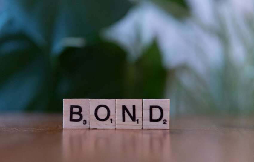 Joint bonds: shared risk, shared reward