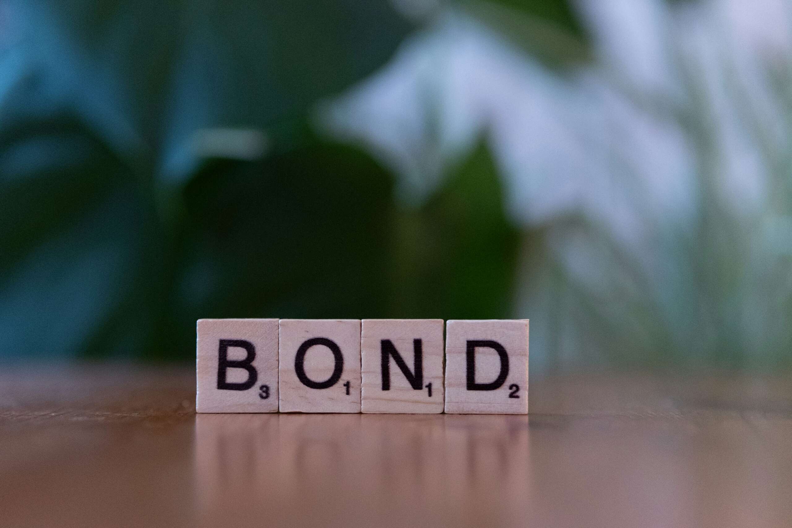 Joint bonds: shared risk, shared reward